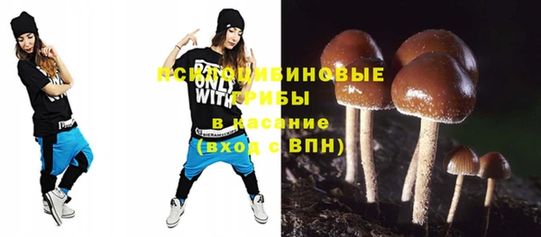 дживик Коряжма