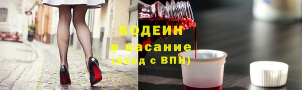 твердый Козельск
