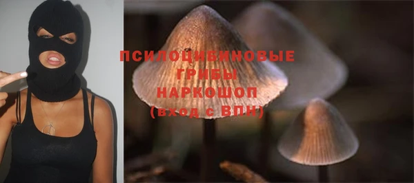 прущие крисы Козловка