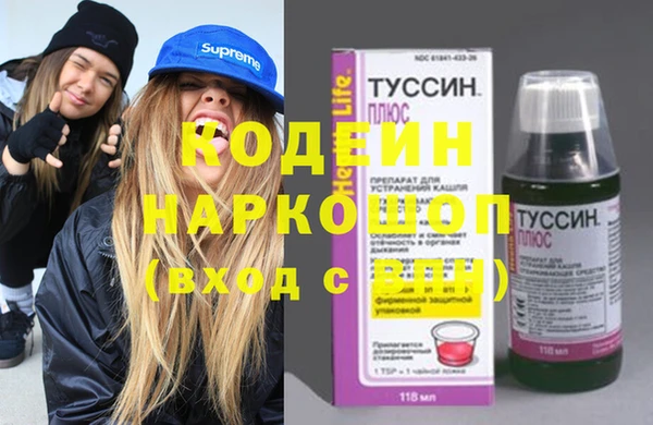 твердый Козельск