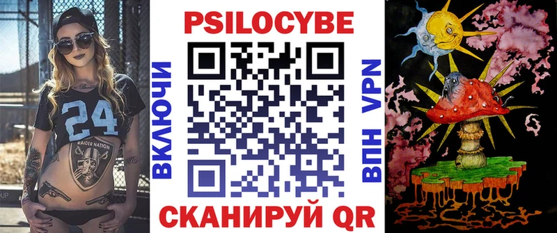 где купить наркоту  Терек  Псилоцибиновые грибы Cubensis 